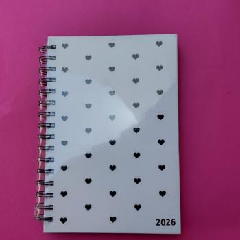Agenda Diaria 2026 Especial A5 Charm Corações - Kaz