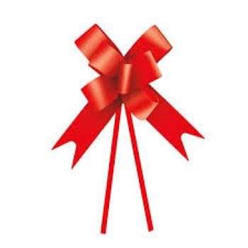 Laço Pronto para Presente 1,2x24cm Liso Vermelho