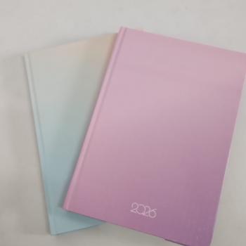 Agenda 2026 percalux 160f.145x210mm - Animativa