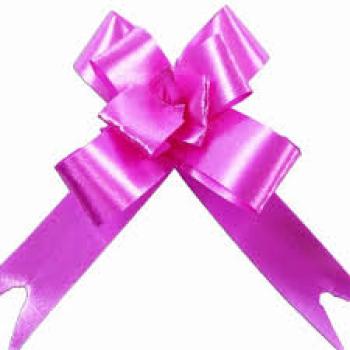 Laço Pronto para Presente 1,8x38cm Liso Lilas