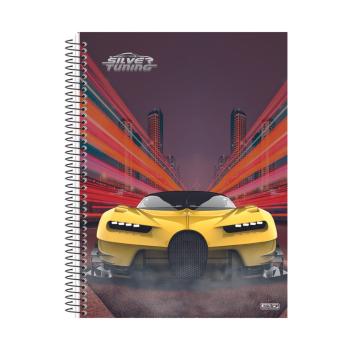 Caderno Universitário 15 Matérias CD B/A 240 Folhas Silver - Animativa