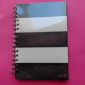 Agenda Diaria 2026 Especial A5 Charm Listras - Kaz