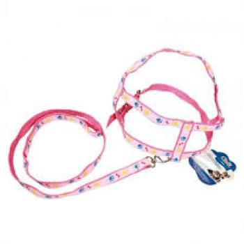 CONJUNTO PEITORAL E GUIA OSSO PATA N4