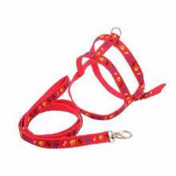 CONJUNTO PEITORAL E GUIA OSSO PATA N0