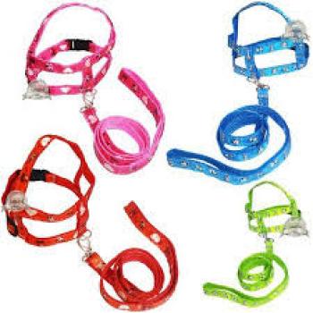 CONJUNTO PEITORAL E GUIA OSSO PATA N3