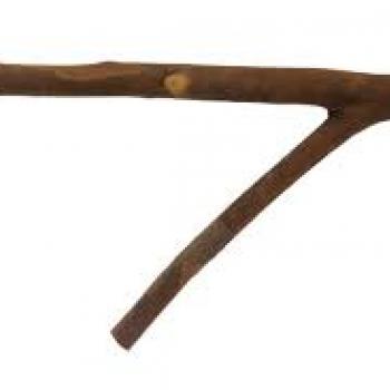 POLEIRO GALHO NATURAL FORQUILHA