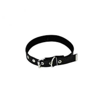 COLEIRA DE COURO FORRADA N8