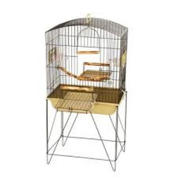 MORADIA CALOPSITA CAFOFO - PR/AM