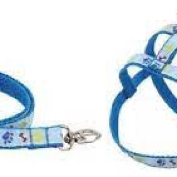 CONJUNTO PEITORAL E GUIA OSSO PATA N1