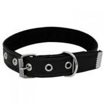 COLEIRA CÃO COM DOURADO P