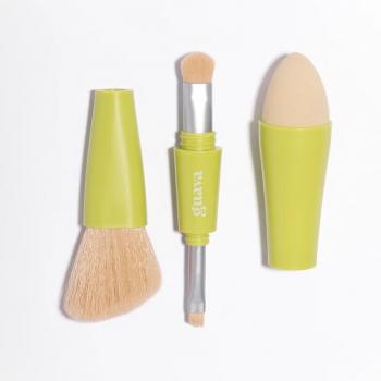 PINCEL TUDO EM 1 GUAVA