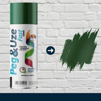 TINTA SPRAY PEGUZE VDE ESC USO GER 300ML  -  REF 6387