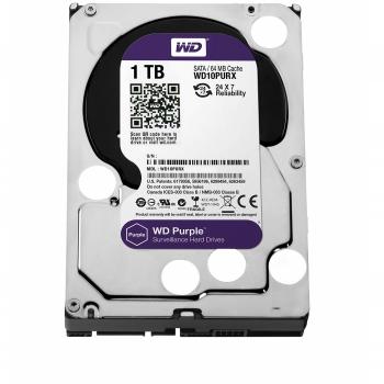 HD WD PURPLE 1 TB PT