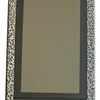 PROTETOR P/CONTROLADOR DE ACESSO SS 5531/5532/5541 MF W