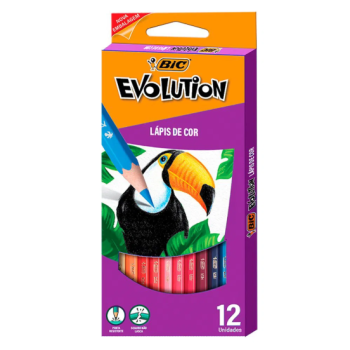 LAPIS 12 CORES BIC EVOLUTION