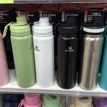 GARRAFA TERMICA 800 ML C/ ALÇA