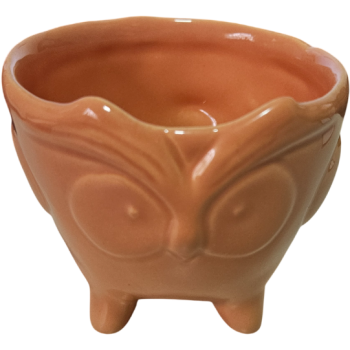Cachepot de Cerâmica Coruja