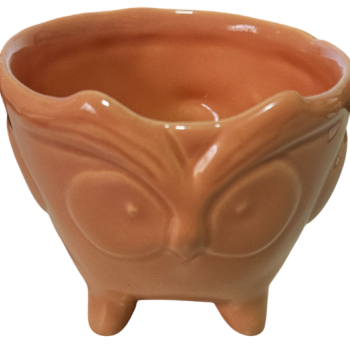 Cachepot de Cerâmica Coruja