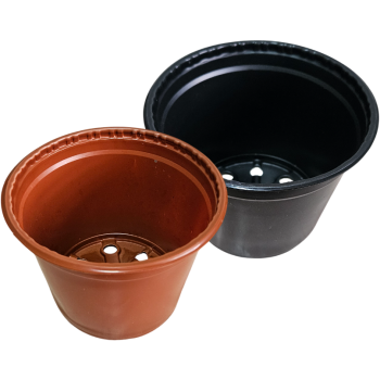 Vaso Comum 02
