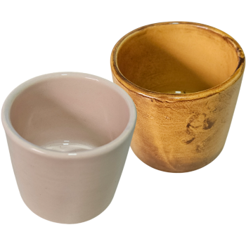 Cachepot de Cerâmica Flor de Lis Cactus