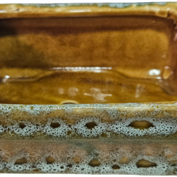 Bonsai de Cerâmica Nº1