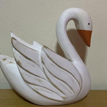 CISNE ASAS 20X20