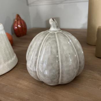 ABOBORA DECORATIVA CERAMICA CINZA