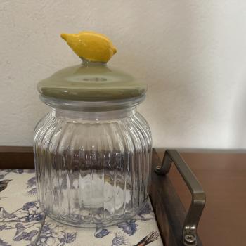 POTE DE VIDRO CANELADO LIMONE 600ML