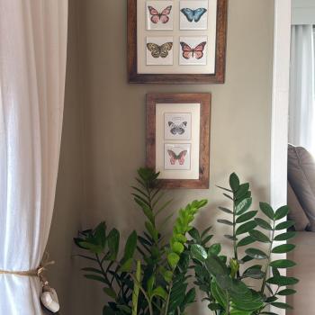 QUADRO DECOR  COM 1 AZULEJO BORBOLETA azul 3001M-034(18,5X18,5CM)
