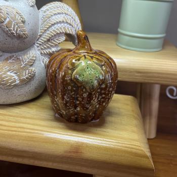 ABOBORA DECORATIVA MARROM