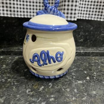 POTE LAÇO ALHO ASTER AZUL 14x20