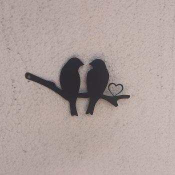 PASSARINHO AMOR