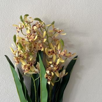 MINI ORQUIDEA ONCIDIUM AMARELA