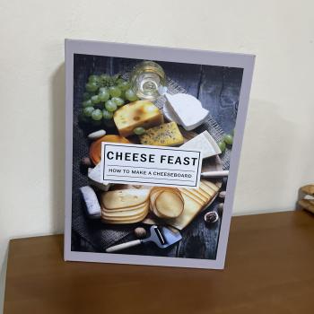 LIVRO CAIXA CHEESE FEAST CINZA M   M:32x25x6