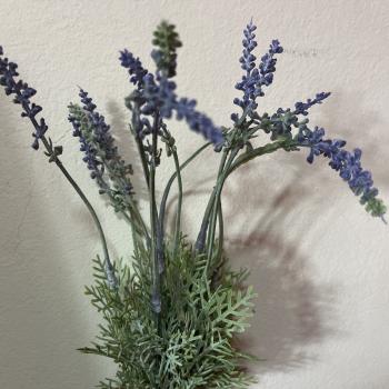 BUQUE LAVANDA SILVESTRE