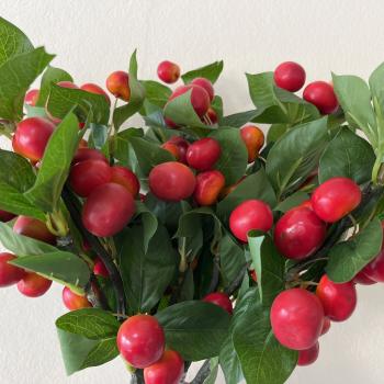 GALHO ACEROLA VERMELHO