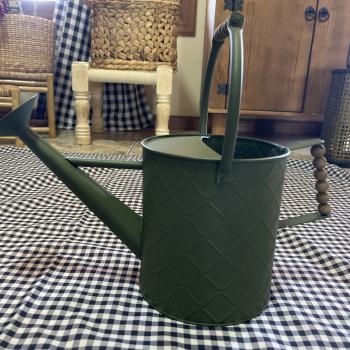 REGADOR DE FERRO CLASSIC GREEN 18X17