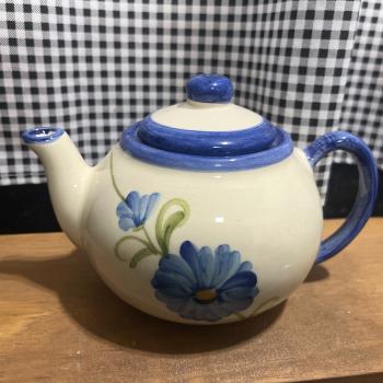 BULE ASTER AZUL 11x9