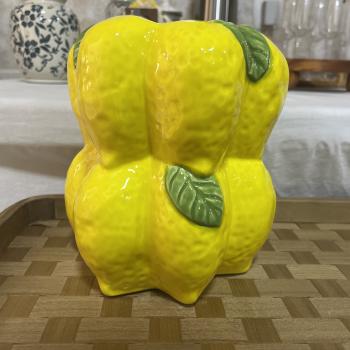 CACHEPOT VASO LIMÃO SICILIANO FOLHA 17CM