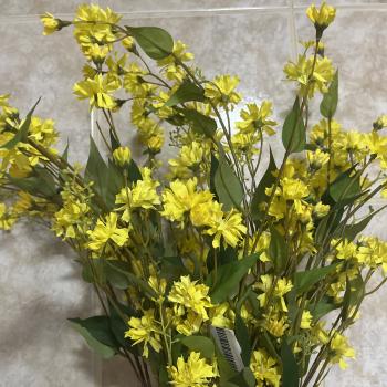 GALHO DE CHICORIA 1,03CM