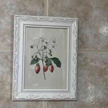 QUADRO MOLDURA BRANCA MORANGOS A5 24X18