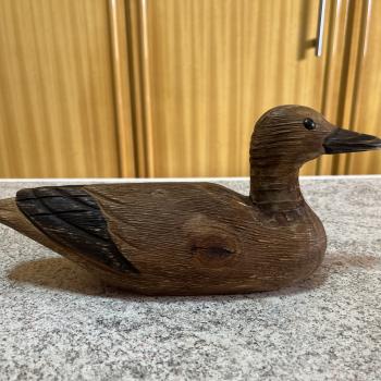 PATO DECORATIVO