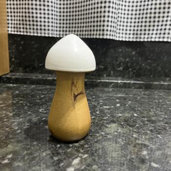 COGUMELO BRANCO G DECORAÇÃO