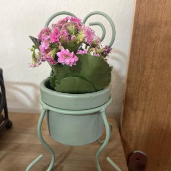 CADEIRA VASO MILA VERDE PISTACHE G
