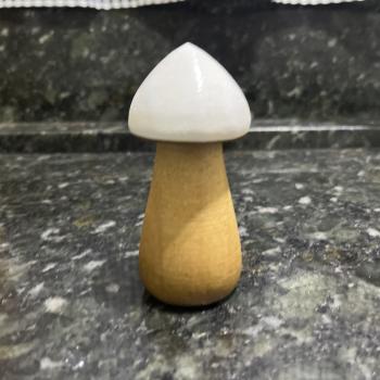 COGUMELO BRANCO P DECORAÇÃO