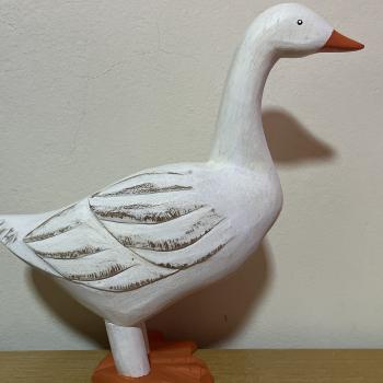 PATO BARNABE 29X28