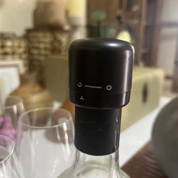 TAMPA PARA GARRAFA DE VINHO