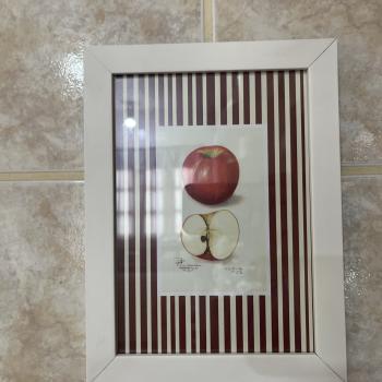 QUADRO MOLDURA BRANCA A5 MAÇA COM LISTRAS 24X18