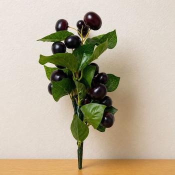 GALHO ACEROLA-VINHO