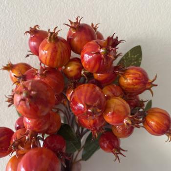 APLIQUE BERRY ROMA MIX
